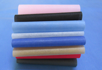 长泰涤纶（PET）无纺布是什么